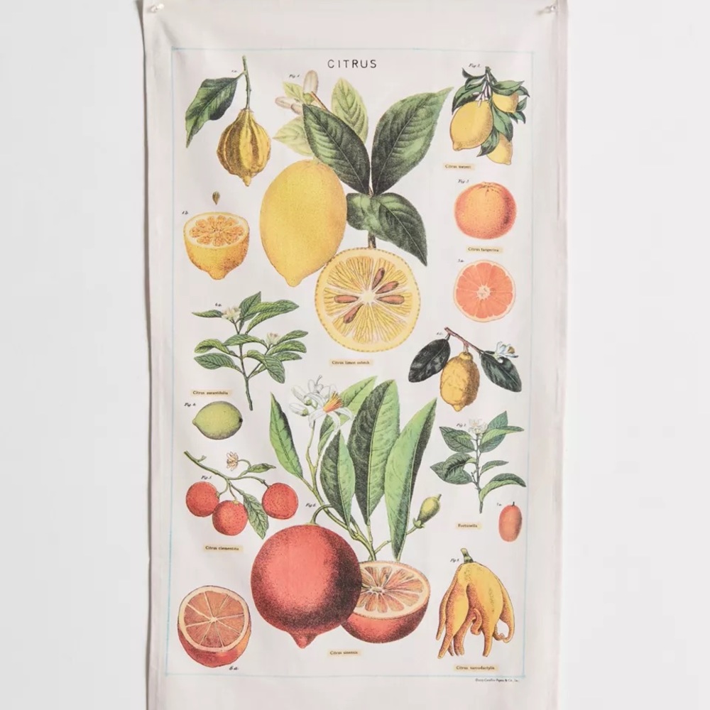 COPY - urban outfitters citrus tapestry